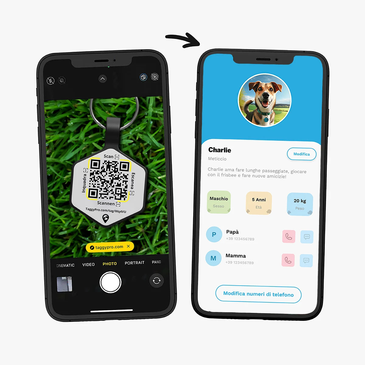BraveTag Silicone - Blue