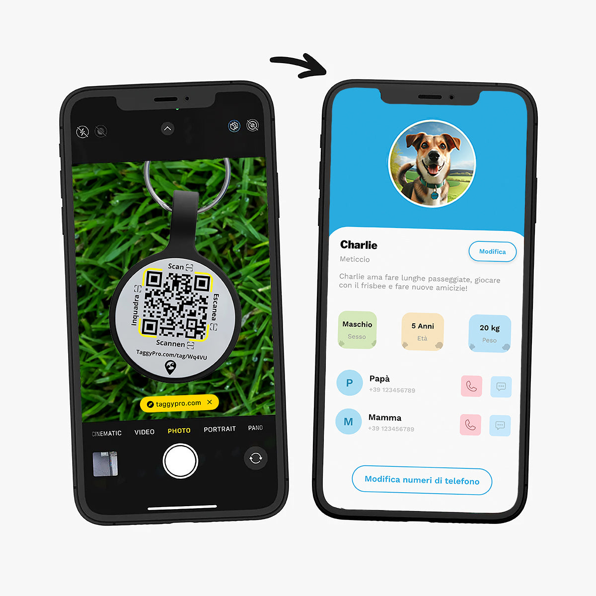 BraveTag Hex