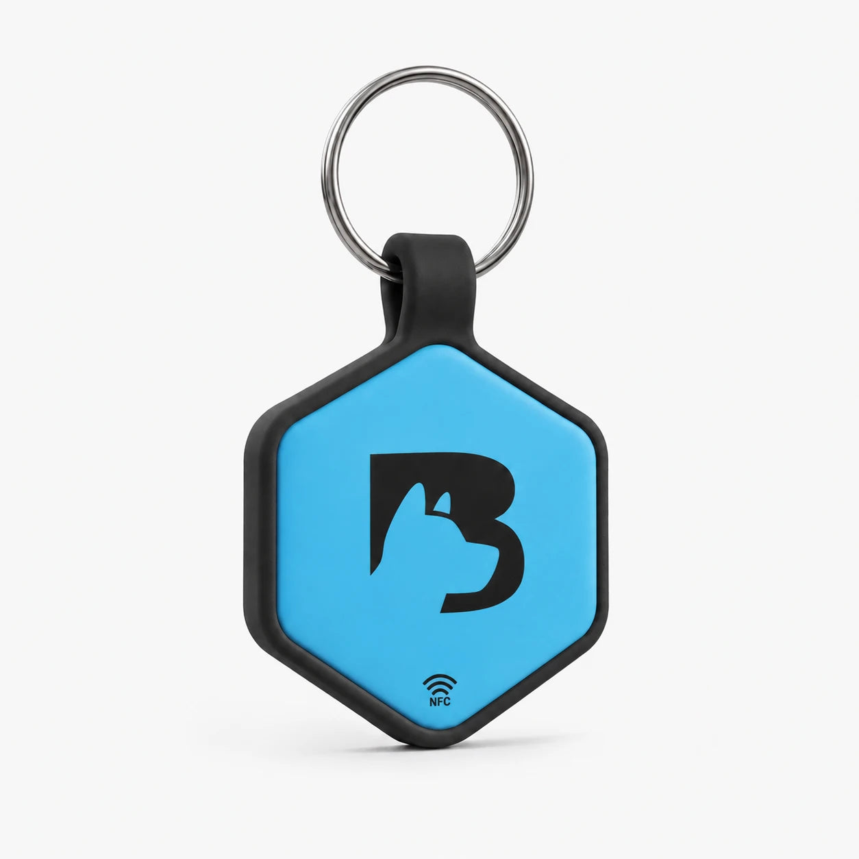 BraveTag Hex