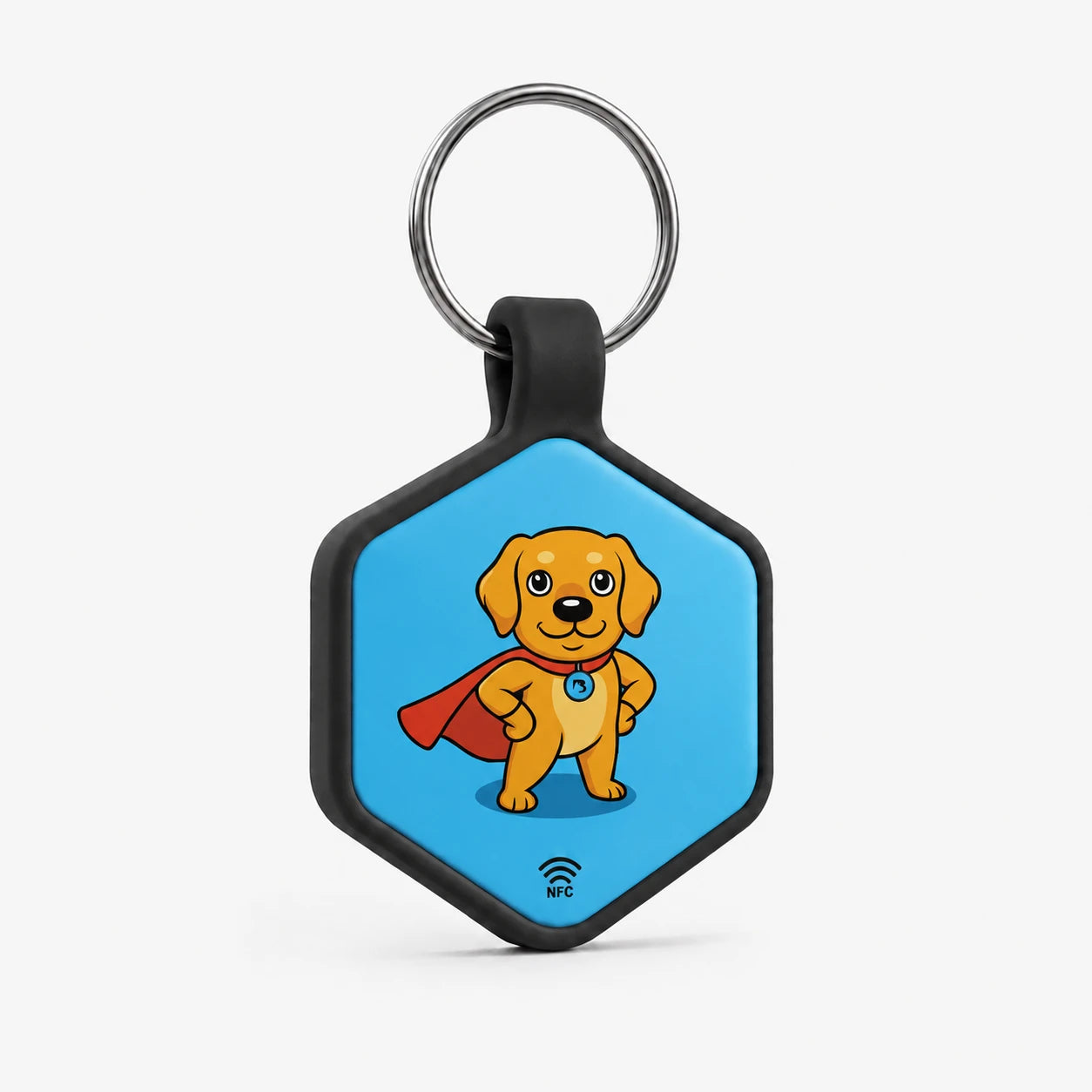 BraveTag Hex